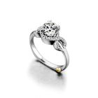 Infinity by Mark Schneider