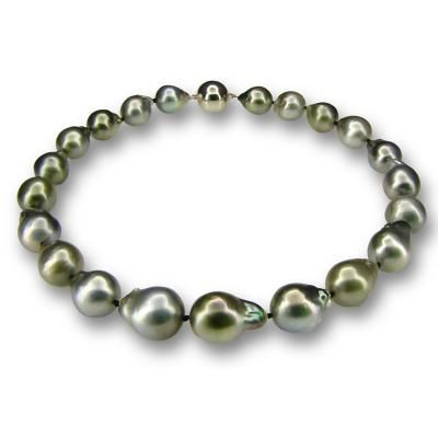 Mastoloni Fashion AllAttributes Style:  sbn-4456